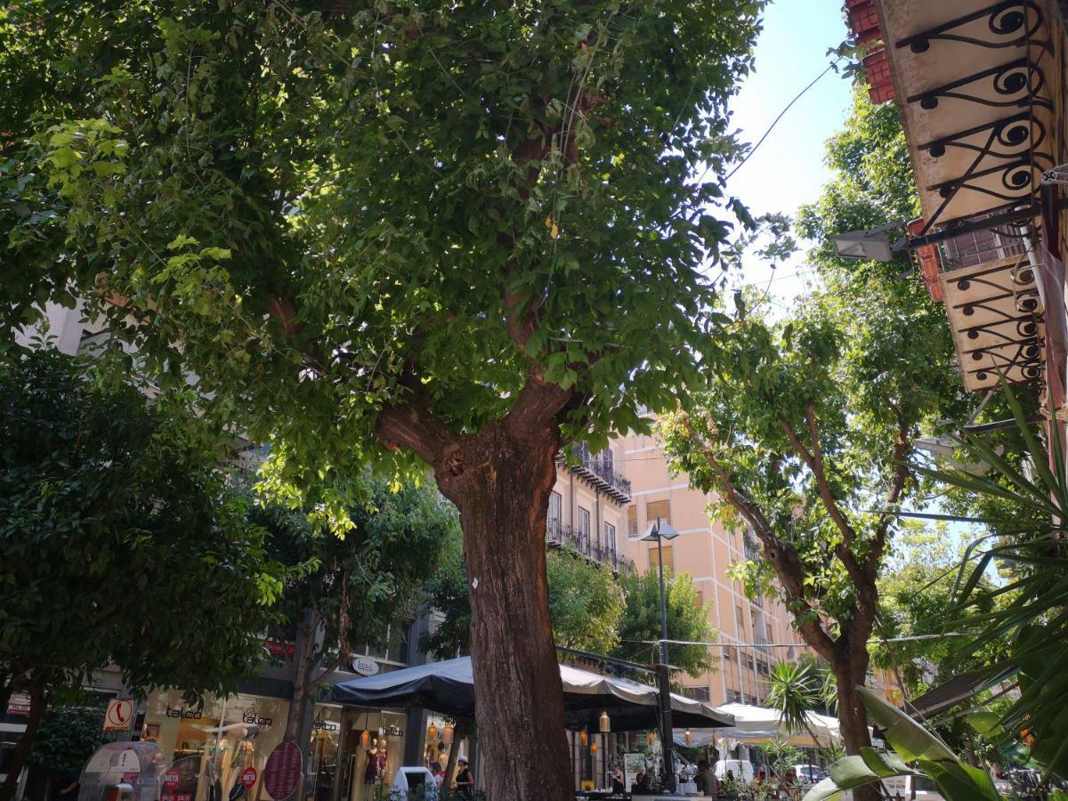 La Casa Dolce Bed & Breakfast Palermo Dış mekan fotoğraf